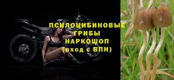 не бодяженный Зеленокумск