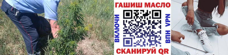 цены наркотик  мега ссылка  ТГК THC oil  Заозёрск 